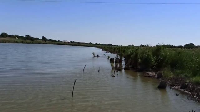 На поле бахчи, дынь, кабачков и тыквы! Николай Буров смотреть онлайн