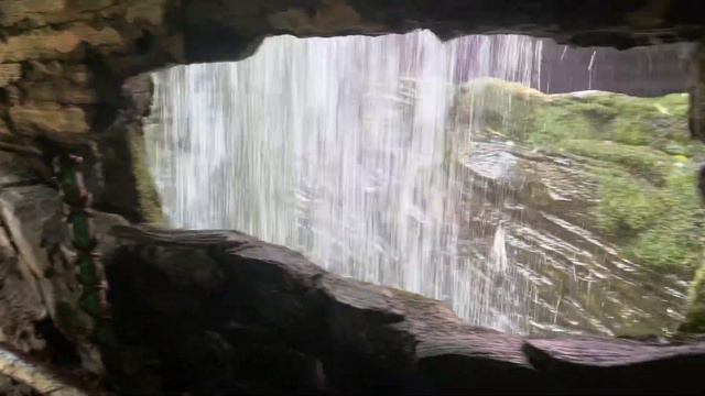 Дубай. Green Planet Dubai обзор зоопарка смотреть онлайн