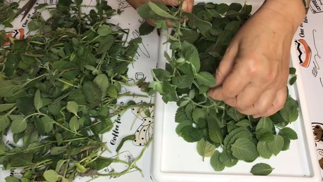 Мастерство и Личный Рост