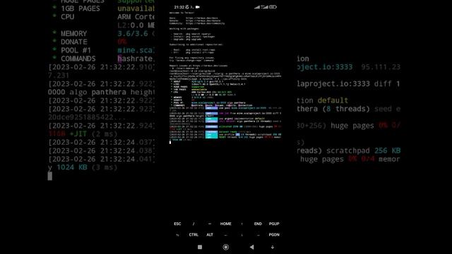 How to mine Scala coin XLA with termux and xlarig on any Android device смотреть онлайн