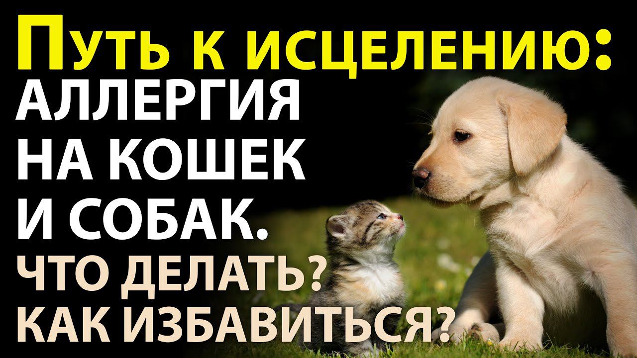 Владимир Горохов Медитации Психология