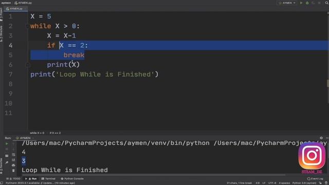 PART 13 PYTHON | الدرس الثالث عشر : Loop Control - Break & Continue смотреть онлайн