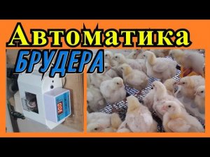 Терморегулятор для брудера. Надежный. Универсальный. Легкосъемный.