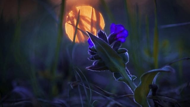 Алексей Мандельштам - Прощай (Бескрылый роман)