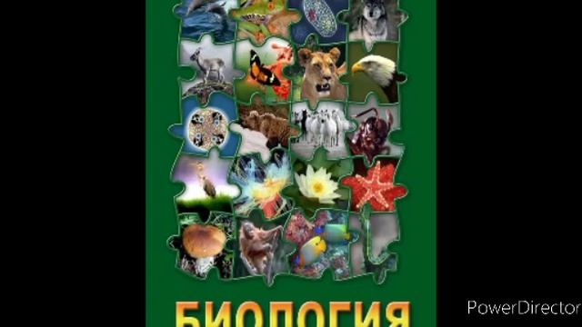 #52 Лишайники. Биология 7 кл. смотреть онлайн