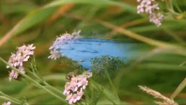 Живописный Ямал! смотреть онлайн