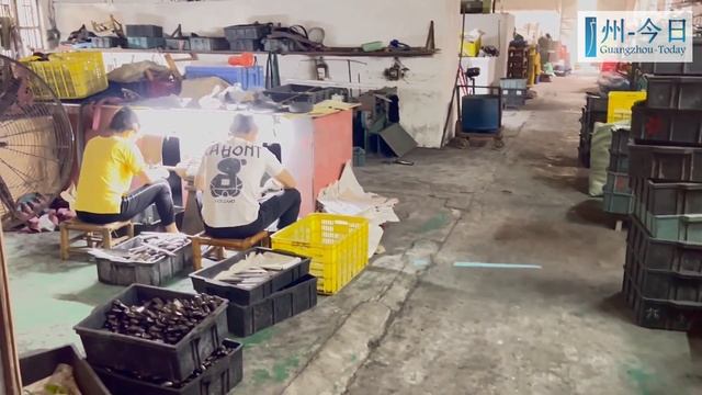 КИТАЙСКИЙ ЗАВОД | Товары для кухни оптом | Производители кухонных ножей | КУХОННЫЕ ПРИНАДЛЕЖНОСТИ смотреть онлайн