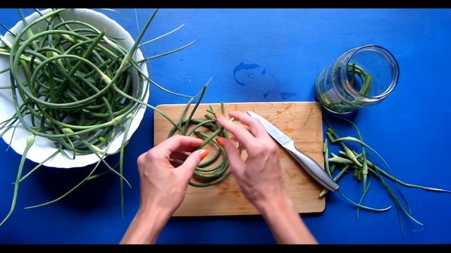 Влоги с Путешествиями