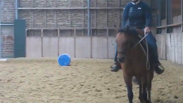 Playin Stepper смотреть онлайн