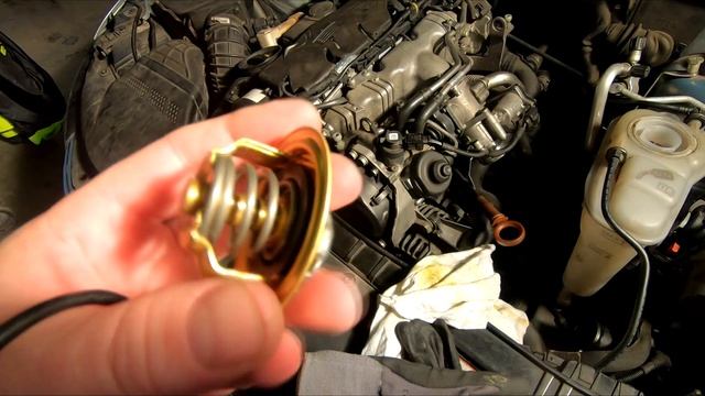 Audi A4/A5/Q5 B8 CAGA - Wymiana Termostatu/Replacing The Thermostat DIY