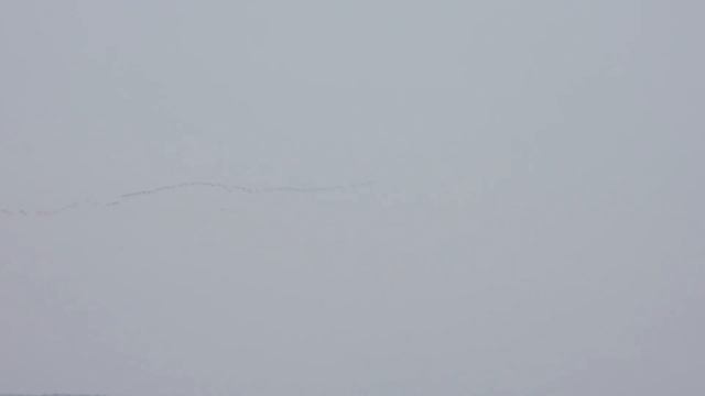 Летят гуси 15 апреля смотреть онлайн