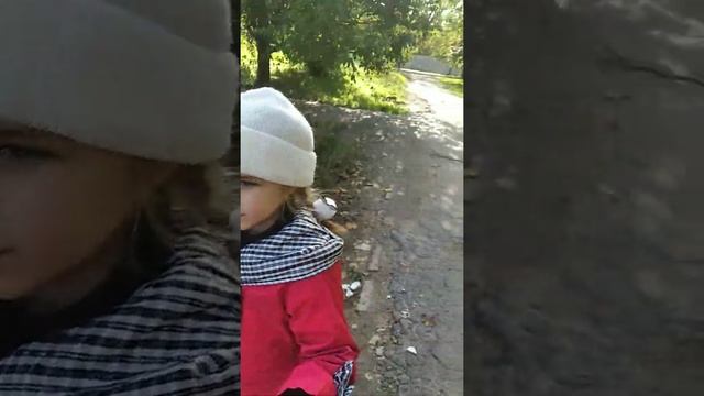 цветение вишни в ноябре смотреть онлайн