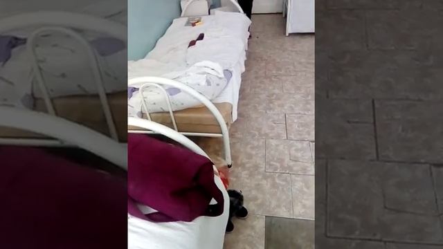 Больница Краснодарского Края смотреть онлайн