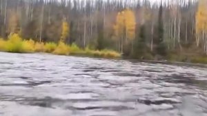 водомётная насадка карась первые испытания