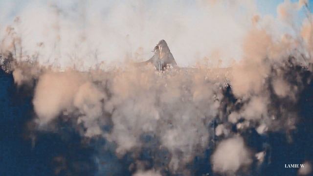 Lovers • люк и сара | тени сентфора