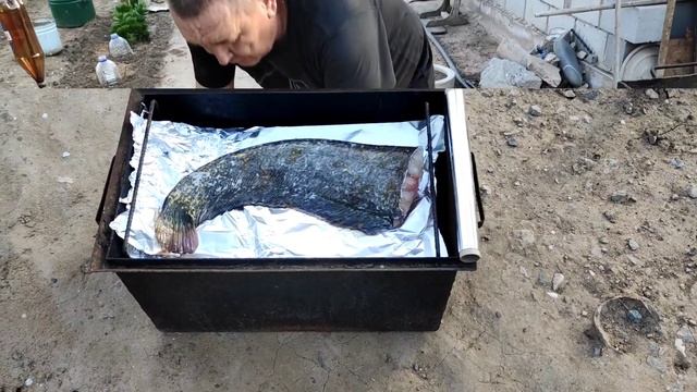 Сом горячего копчения смотреть онлайн