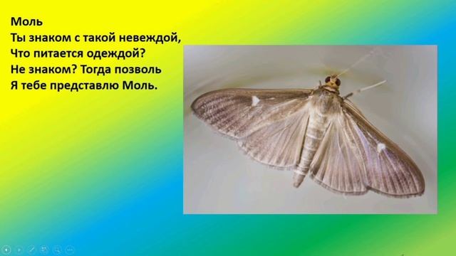 Стихи про насекомых. смотреть онлайн