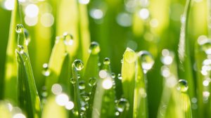 Свежесть и тепло весенней природы - атмосферная музыка для снятия стресса и релаксации