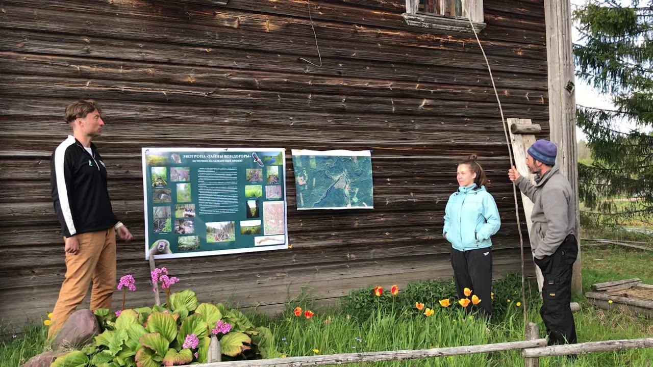 Почему стоит ехать в экопоселение?