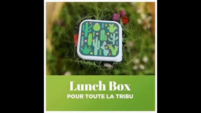 Lunch box Sass & Belle смотреть онлайн