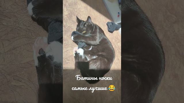 #киса #кошка #игры смотреть онлайн