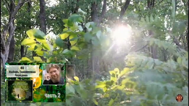"НЕСВЯТЫЕ СВЯТЫЕ". Часть 2. 40. Любовь Тимофеевна Чередова. смотреть онлайн