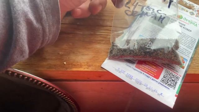 Семена котовника смотреть онлайн