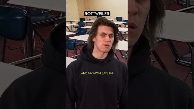 Guard Dog Training School смотреть онлайн