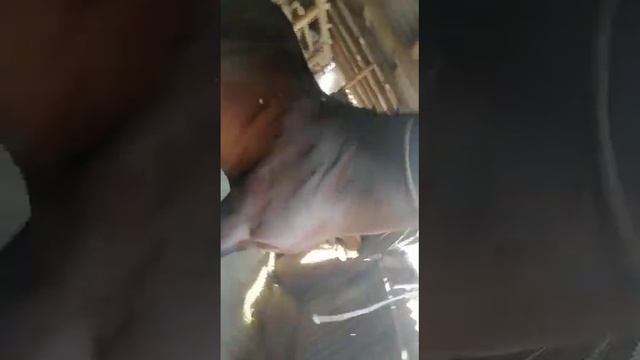 13 апреля 2023 г.