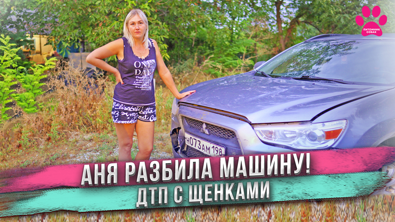 Аня попала в аварию со щенками! смотреть онлайн