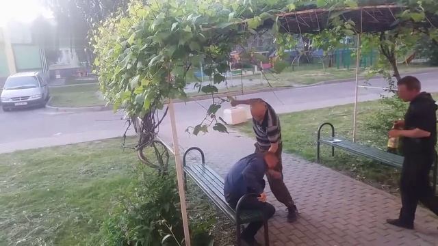 Ребята с нашего двора смотреть онлайн