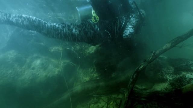 Jeremy Dives With a Giant Anaconda | SNAKE | River Monsters смотреть онлайн