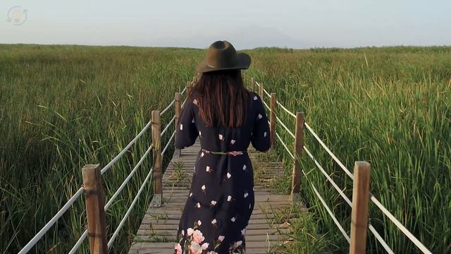 8 Weird Habits Of An INTJ Personality Type смотреть онлайн