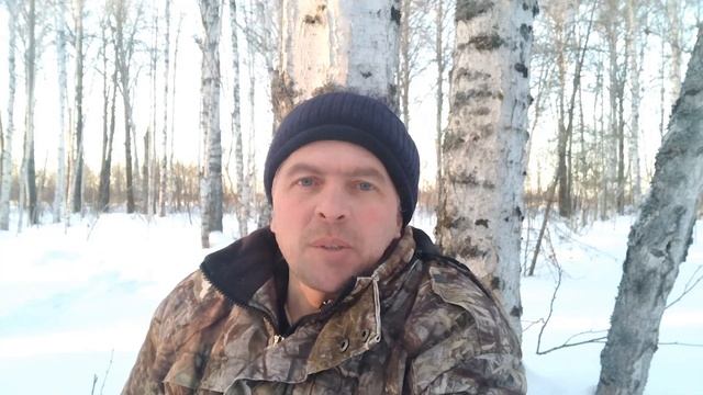 Природа омской области. Распознаём)) породы берёз. Часть 3. смотреть онлайн