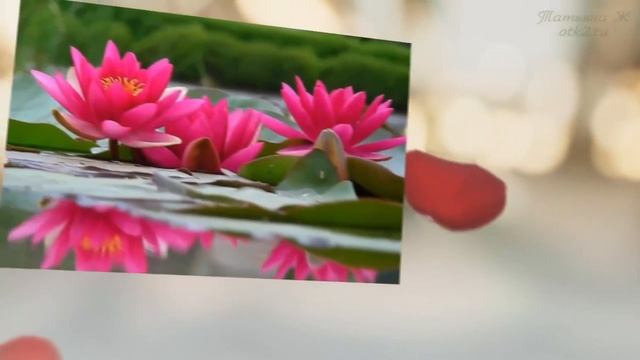 Желаю Счастья БлагоПолучия Здоровья Любви Изобилия.mp4 смотреть онлайн