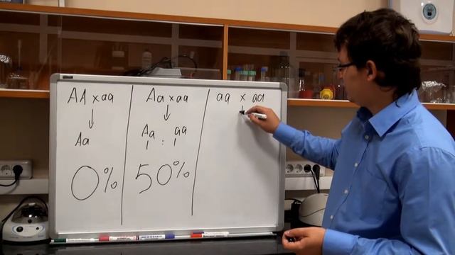 Моногибридное скрещивание. Разбор задачи №1.3 смотреть онлайн