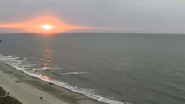 Ласточки свили гнездо в доме – что об этом расскажут приметы? смотреть онлайн