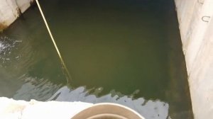 Удивляйтесь Где может жить осетр в каких условиях