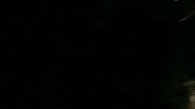 Гоа Влог 122. Ночной поход в джунгли Арамболь. Что происходит и опасно ли ночью в джунглях Индии смотреть онлайн