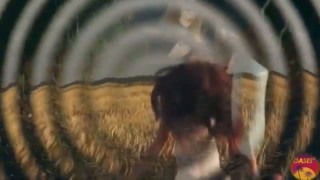 Там за горизонтом, песня смотреть онлайн