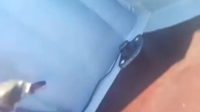 Адмирал 350 НДНД протечка воды через интерцептор смотреть онлайн