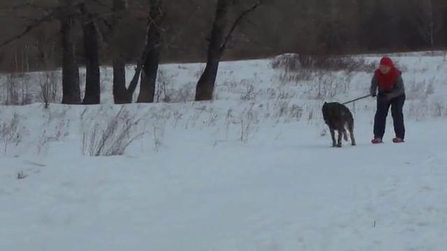 Татьяна и немец Бирюша биатлон 720p