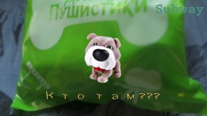 Коробочка Свит Бокс коллекция  Пушистики  Доггивуд 2