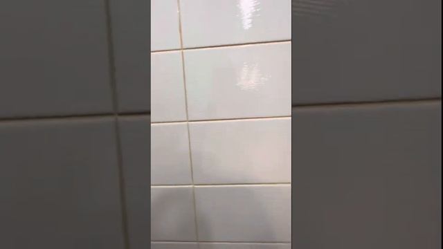 Коломяжский проспект 15/2. Аренда￼ смотреть онлайн