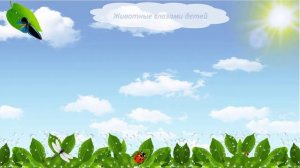 Мастер-класс: Презентация PowerPoint «Экологическое воспитание детей  дошкольного возраста »