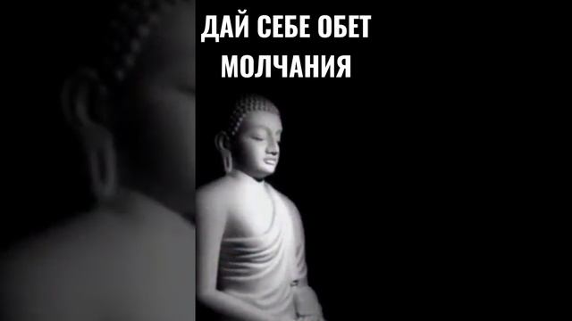 Дай Себе Обет Молчания это Темный Ретрит Тишины