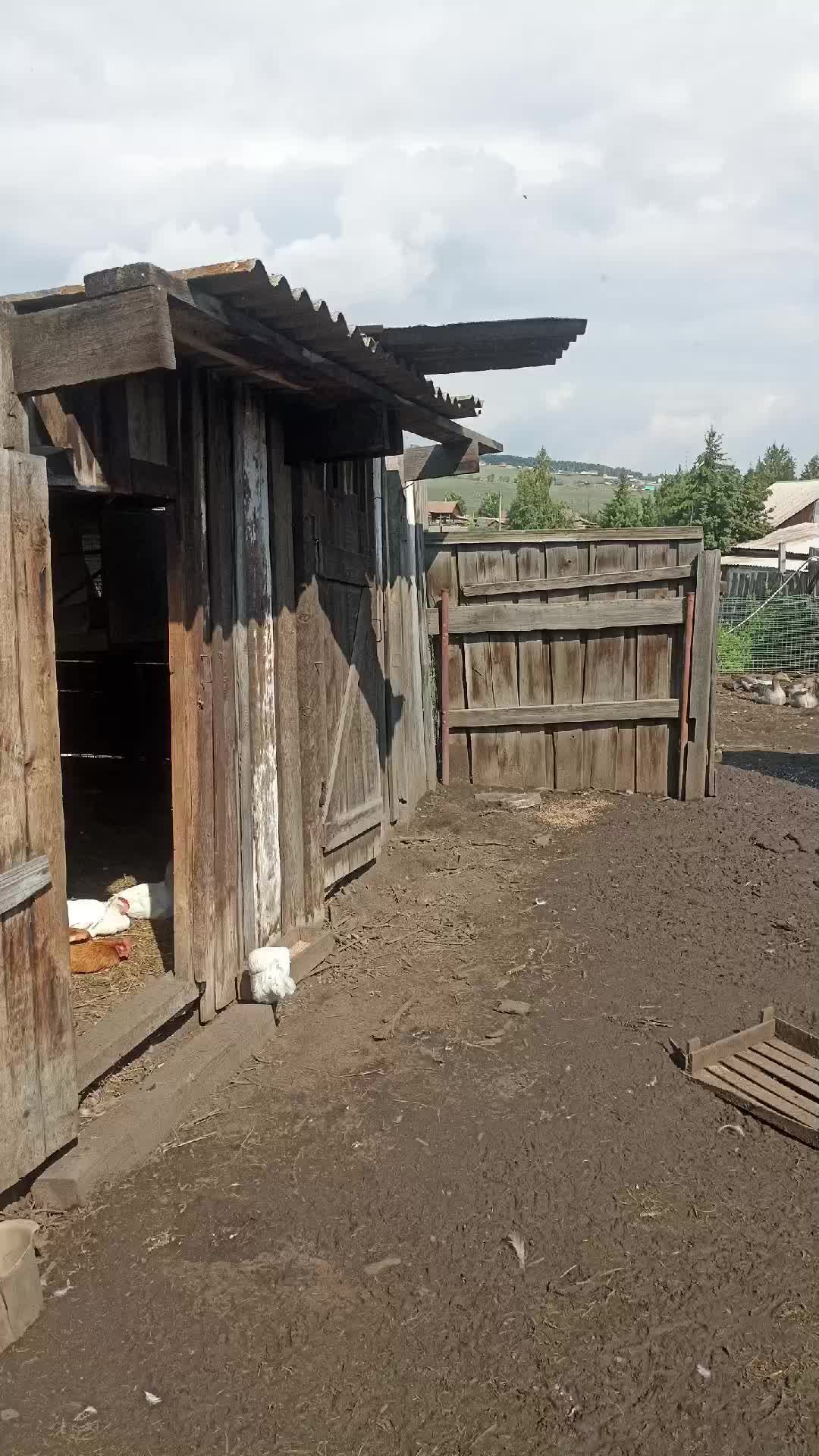 деревенский релакс