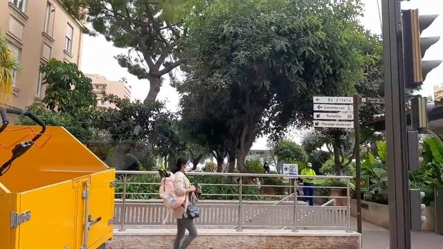 Невероятные джунгли в центре Монако Французская Ривьера. An incredible jungle in the heart of Monaco смотреть онлайн