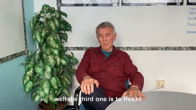 Biological And Psychological Responses To A Trauma смотреть онлайн