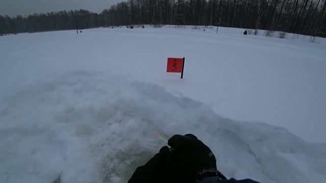 ЧЕМПИОНАТ УЛЬЯНОВСКОЙ ОБЛАСТИ ПО МОРМЫШКЕ 2023г смотреть онлайн